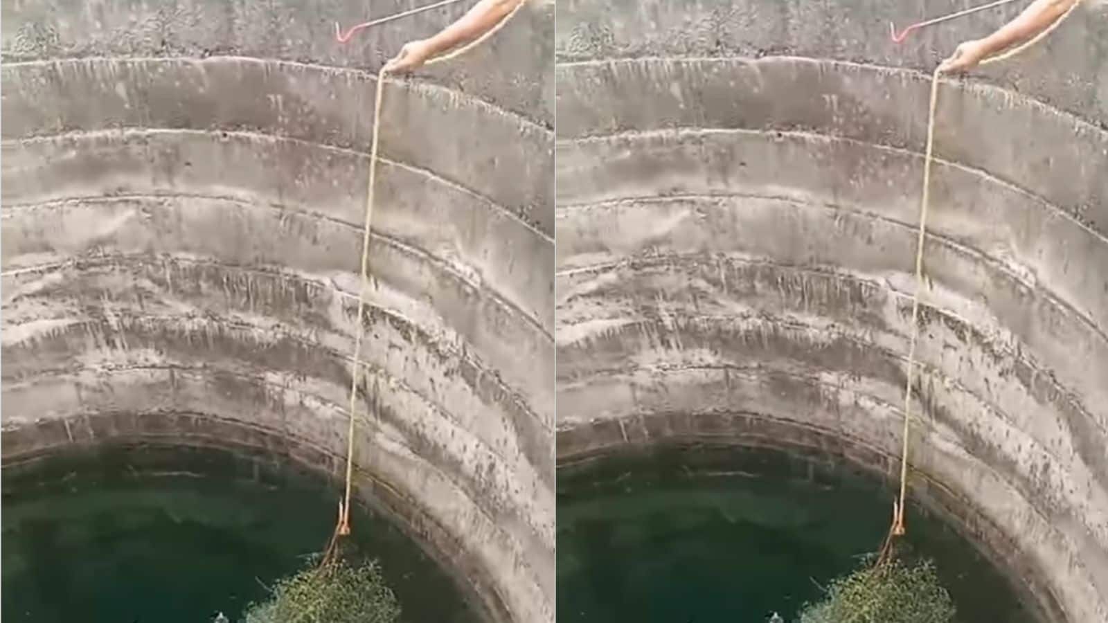 Video: 5 दिन से 50 फीट गहरे कुएं से बाहर आने की जद्दोजहद कर रहा था कोबरा, अचानक फिर गिरा नीचे; दूसरी कोशिश में ऐसे बची सांप की जान Video: 5 दिन से 50 फीट गहरे कुएं से बाहर आने की जद्दोजहद कर रहा था कोबरा, अचानक फिर गिरा नीचे; दूसरी कोशिश में ऐसे बची सांप की जान