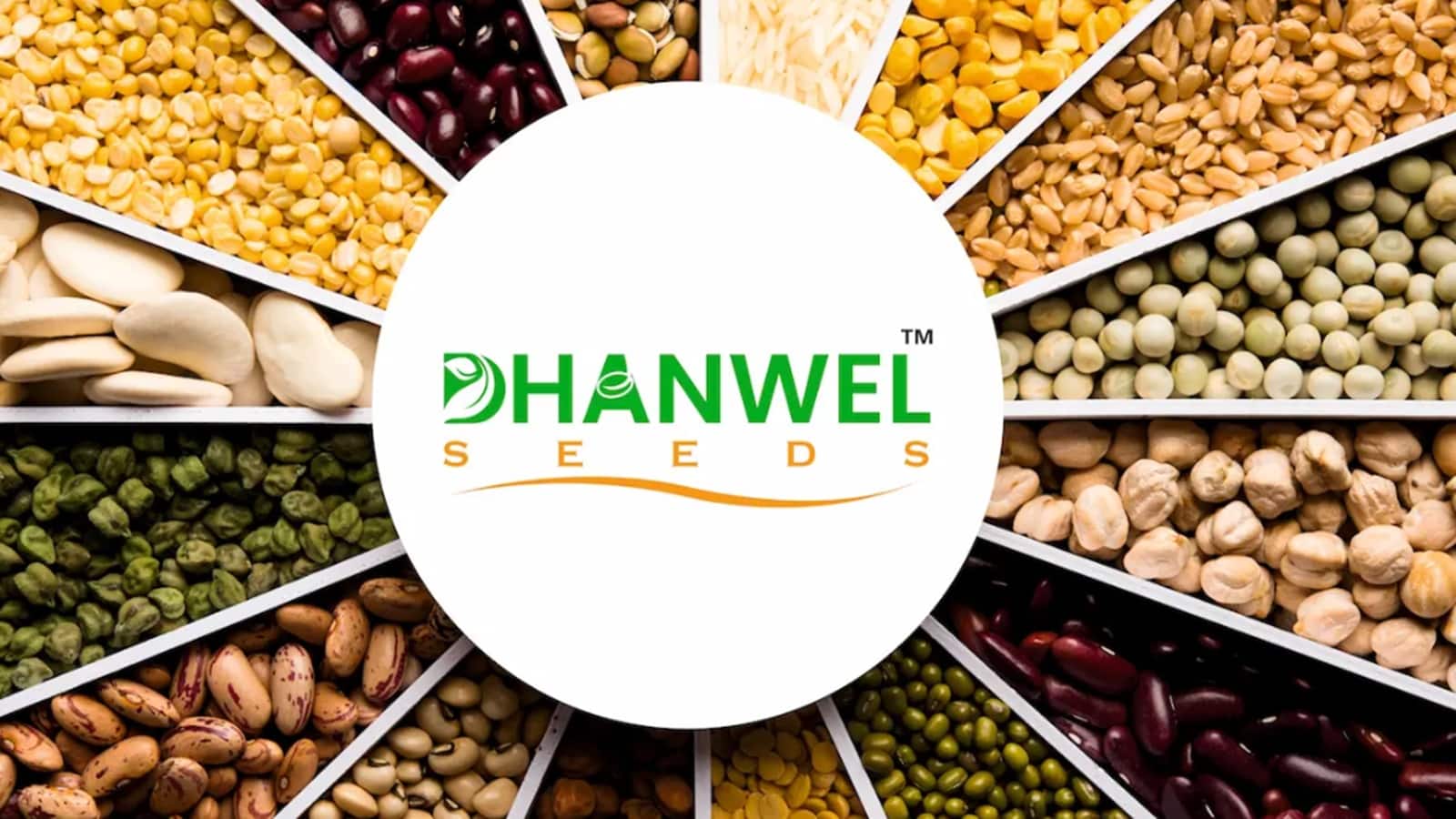 Dhanwel Seeds लिस्ट होते ही लोअर सर्किट पर, ₹99 के शेयरों ने खुदरा निवेशकों को इस कारण दिया अधिक शॉक Dhanwel Seeds लिस्ट होते ही लोअर सर्किट पर, ₹99 के शेयरों ने खुदरा निवेशकों को इस कारण दिया अधिक शॉक