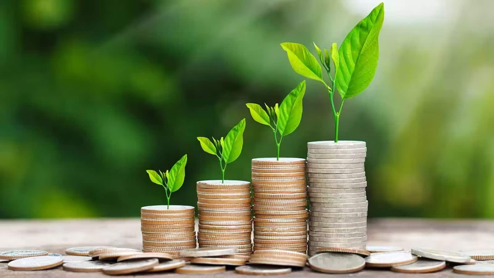SIP या Lump Sum? जानें कहां मिलेगा सबसे ज्यादा रिटर्न! रिटायरमेंट के लिए एक्सपर्ट्स ने बताए ये धांसू फंड्स! SIP या Lump Sum? जानें कहां मिलेगा सबसे ज्यादा रिटर्न! रिटायरमेंट के लिए एक्सपर्ट्स ने बताए ये धांसू फंड्स!