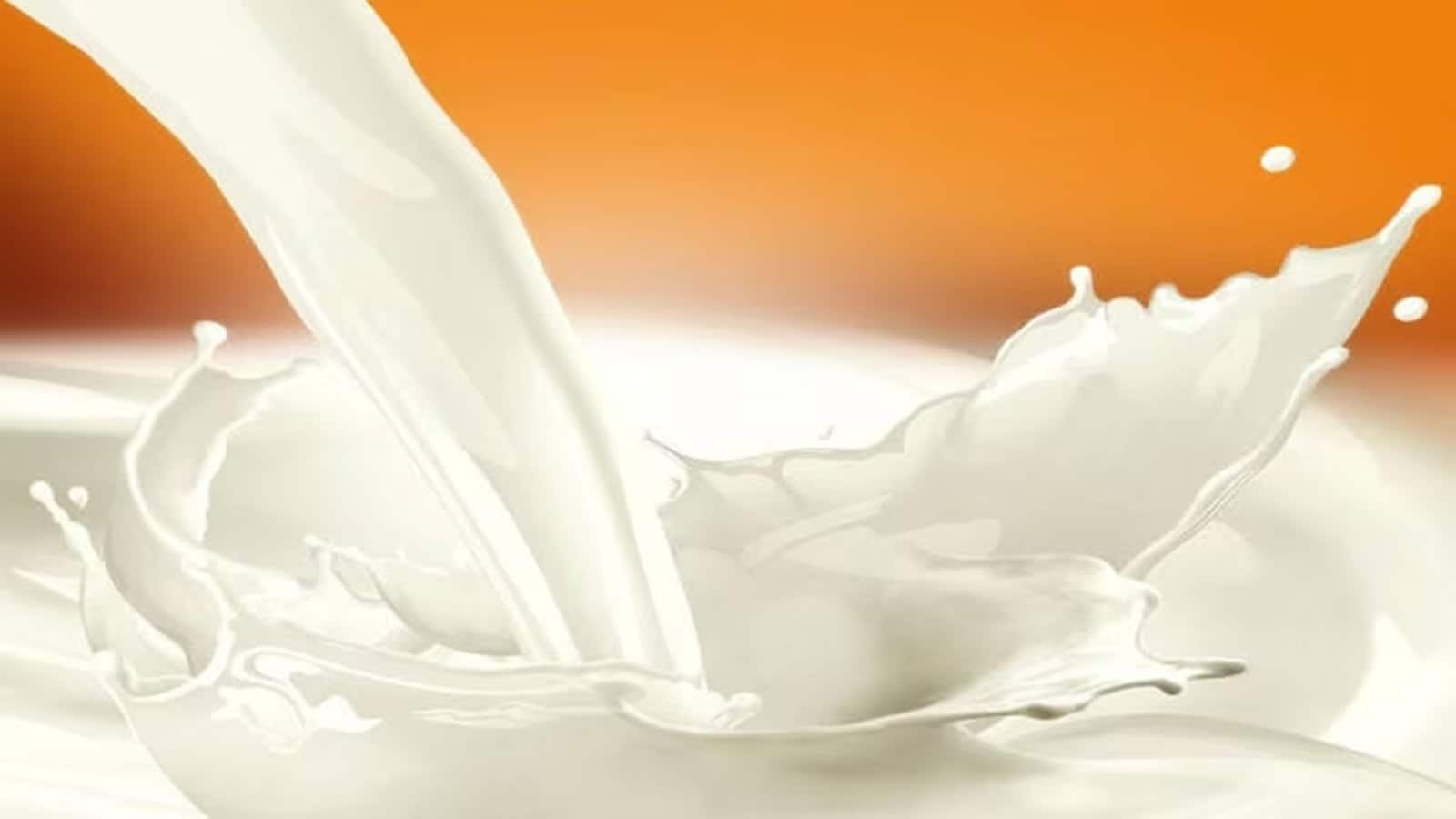 Milk Price: महाराष्ट्र में दूध हुआ और महंगा, 11 अगस्त से ₹2 प्रति लीटर बढ़ेगी कीमत Milk Price: महाराष्ट्र में दूध हुआ और महंगा, 11 अगस्त से ₹2 प्रति लीटर बढ़ेगी कीमत