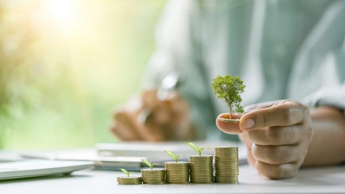 100% Equity in NPS: क्या एनपीएस में पूरा पैसा शेयरों में डालना सही है? जानिए नए नियम और एक्सपर्ट्स की राय 100% Equity in NPS: क्या एनपीएस में पूरा पैसा शेयरों में डालना सही है? जानिए नए नियम और एक्सपर्ट्स की राय