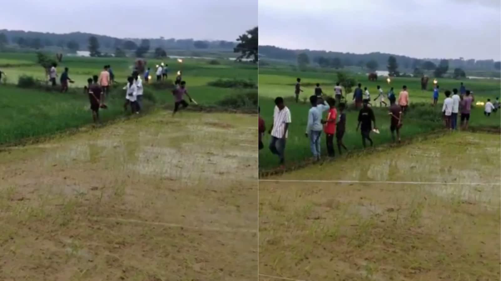 Video: कीचड़ और घुटनों तक पानी में भी नहीं थमी हाथी की रफ्तार, टॉर्च दिखाकर भगाने की कोशिश पर लोगों की ओर दौड़ा गजराज Video: कीचड़ और घुटनों तक पानी में भी नहीं थमी हाथी की रफ्तार, टॉर्च दिखाकर भगाने की कोशिश पर लोगों की ओर दौड़ा गजराज