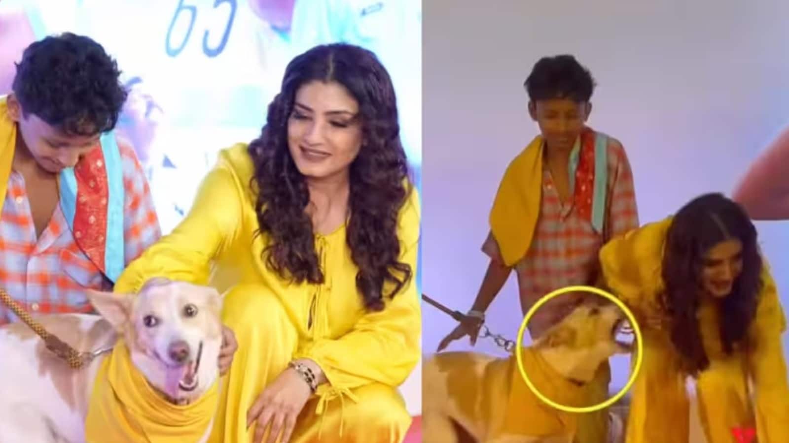 Raveena Tandon: 'ओह माय डॉग' के कुत्ते की बाइट से बाल-बाल बचीं रवीना टंडन, एक्ट्रेस का रिएक्शन हुआ वायरल Raveena Tandon: 'ओह माय डॉग' के कुत्ते की बाइट से बाल-बाल बचीं रवीना टंडन, एक्ट्रेस का रिएक्शन हुआ वायरल