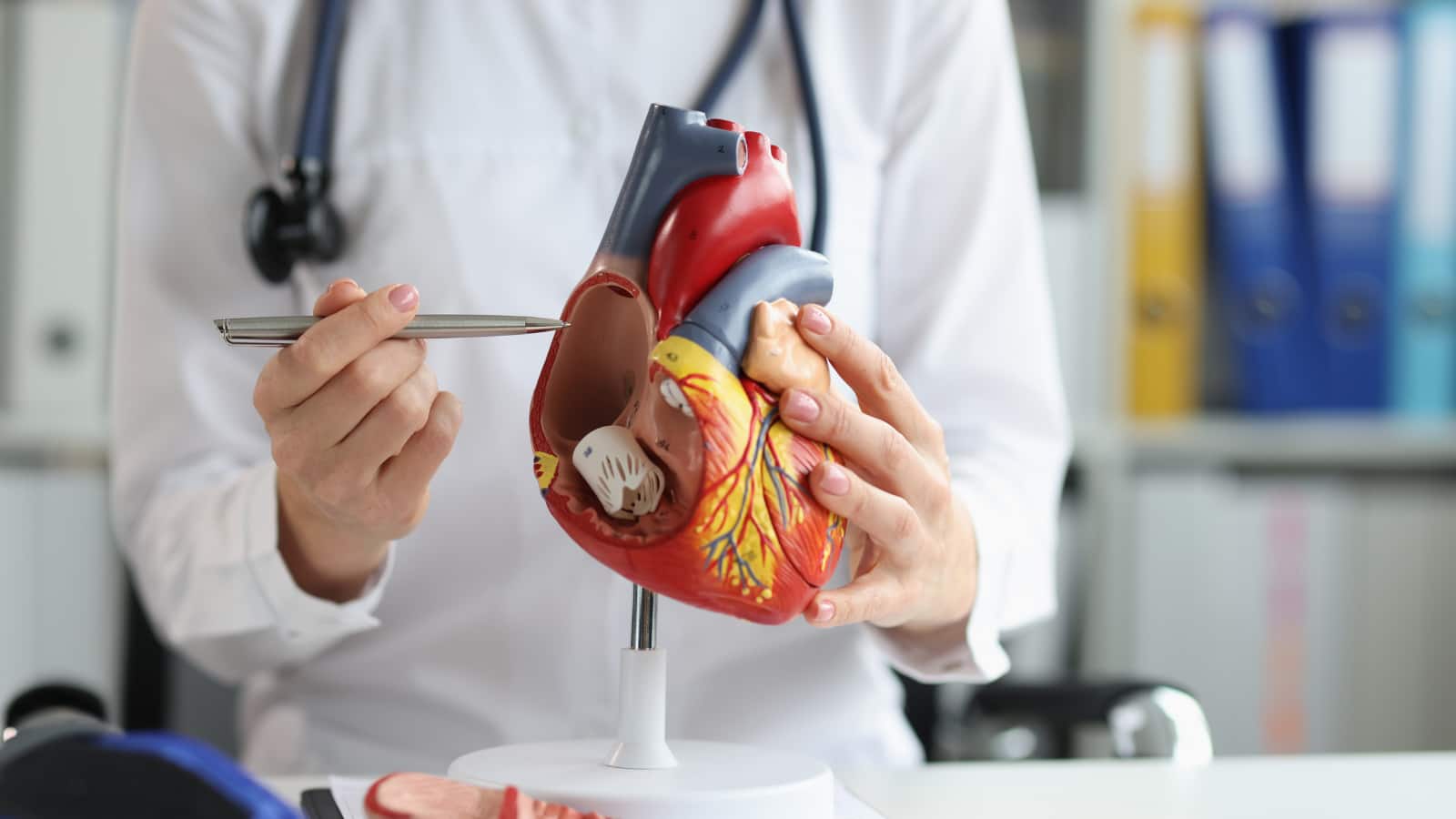 Heart Health: सिगरेट ही नहीं, ये 4 चीजें भी हैं दिल की दुश्मन! 8000 हार्ट सर्जरी कर चुके डॉक्टर ने बताया किन चीजों से रहें दूर Heart Health: सिगरेट ही नहीं, ये 4 चीजें भी हैं दिल की दुश्मन! 8000 हार्ट सर्जरी कर चुके डॉक्टर ने बताया किन चीजों से रहें दूर