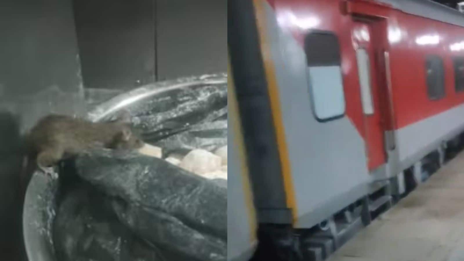 Video: ट्रेन में खाना खाने से पहले देख लें ये वीडियो! पैंट्री में खुले आटे के पास चूहा देख यात्रियों के उड़े होश Video: ट्रेन में खाना खाने से पहले देख लें ये वीडियो! पैंट्री में खुले आटे के पास चूहा देख यात्रियों के उड़े होश