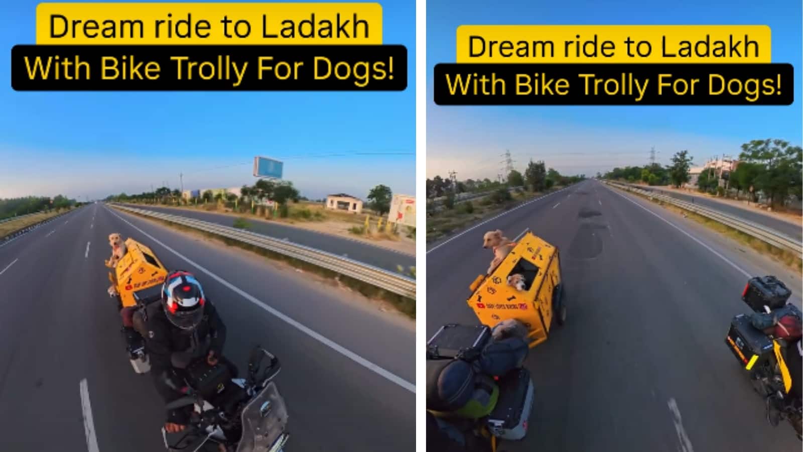 Video: कुत्तों को साथ लेकर लद्दाख पहुंचा कपल! बाइक के पीछे बनाई खास ट्रॉली, वीडियो हुआ वायरल Video: कुत्तों को साथ लेकर लद्दाख पहुंचा कपल! बाइक के पीछे बनाई खास ट्रॉली, वीडियो हुआ वायरल