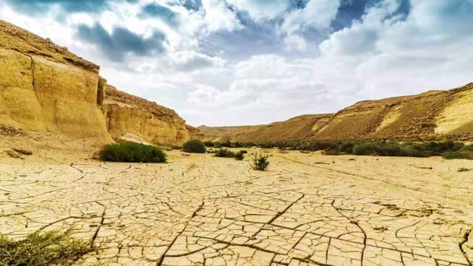 Drought in Maharashtra : महाराष्ट्र में सूखा घोषित, जानिए किन शेयरों पर पड़ सकता है इसका असर Drought in Maharashtra : महाराष्ट्र में सूखा घोषित, जानिए किन शेयरों पर पड़ सकता है इसका असर