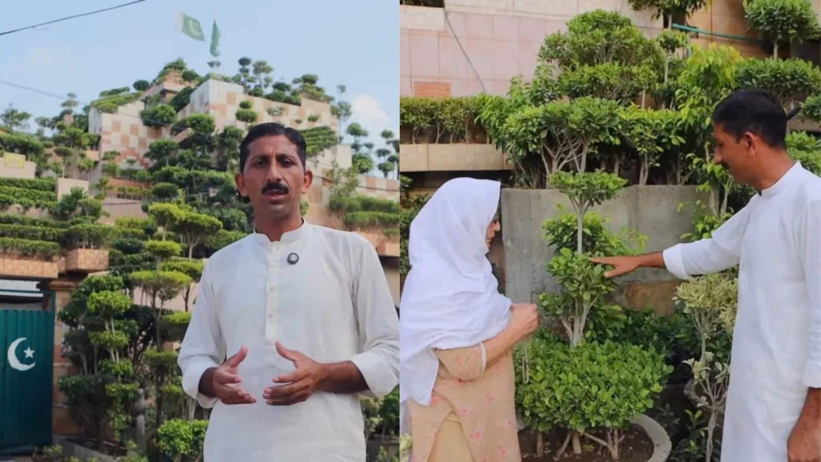Video: 5,700 पौधों से भर दिया पूरा घर, इस पाकिस्तानी शख्स ने आखिर क्यों उठाया ये कदम? Video: 5,700 पौधों से भर दिया पूरा घर, इस पाकिस्तानी शख्स ने आखिर क्यों उठाया ये कदम?