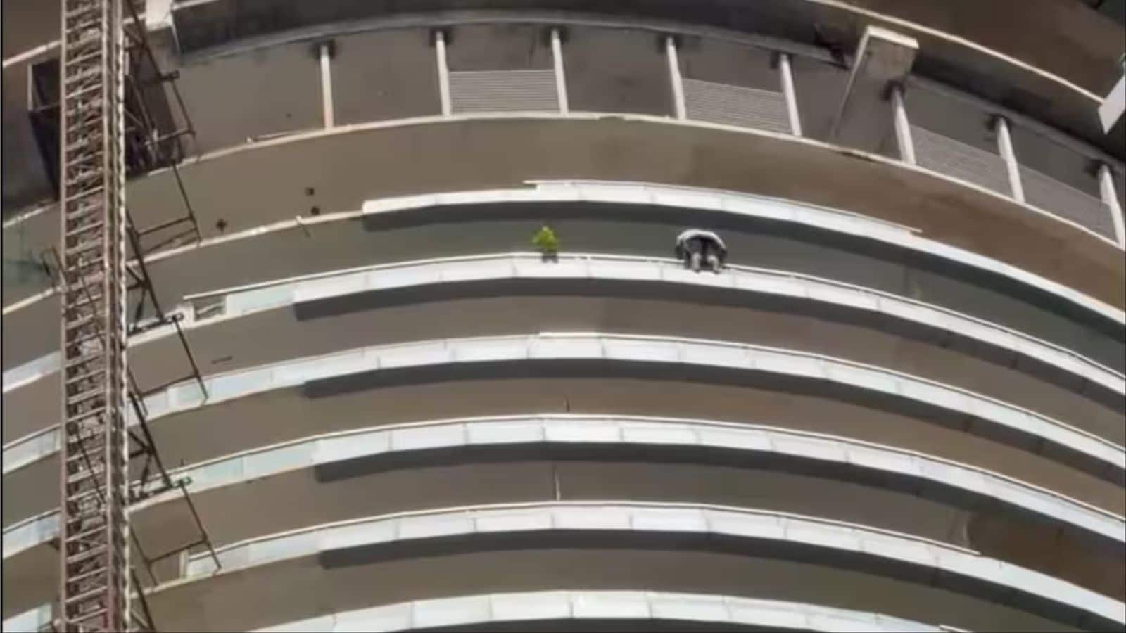 Noida News: 'मैं डिप्रेशन में हूं...'; नोएडा के सुपरनोवा बिल्डिंग की 43वीं मंजिल से कूदकर युवक ने दी जान, छलांग लगाने का दर्दनाक वीडियो वायरल Noida News: 'मैं डिप्रेशन में हूं...'; नोएडा के सुपरनोवा बिल्डिंग की 43वीं मंजिल से कूदकर युवक ने दी जान, छलांग लगाने का दर्दनाक वीडियो वायरल