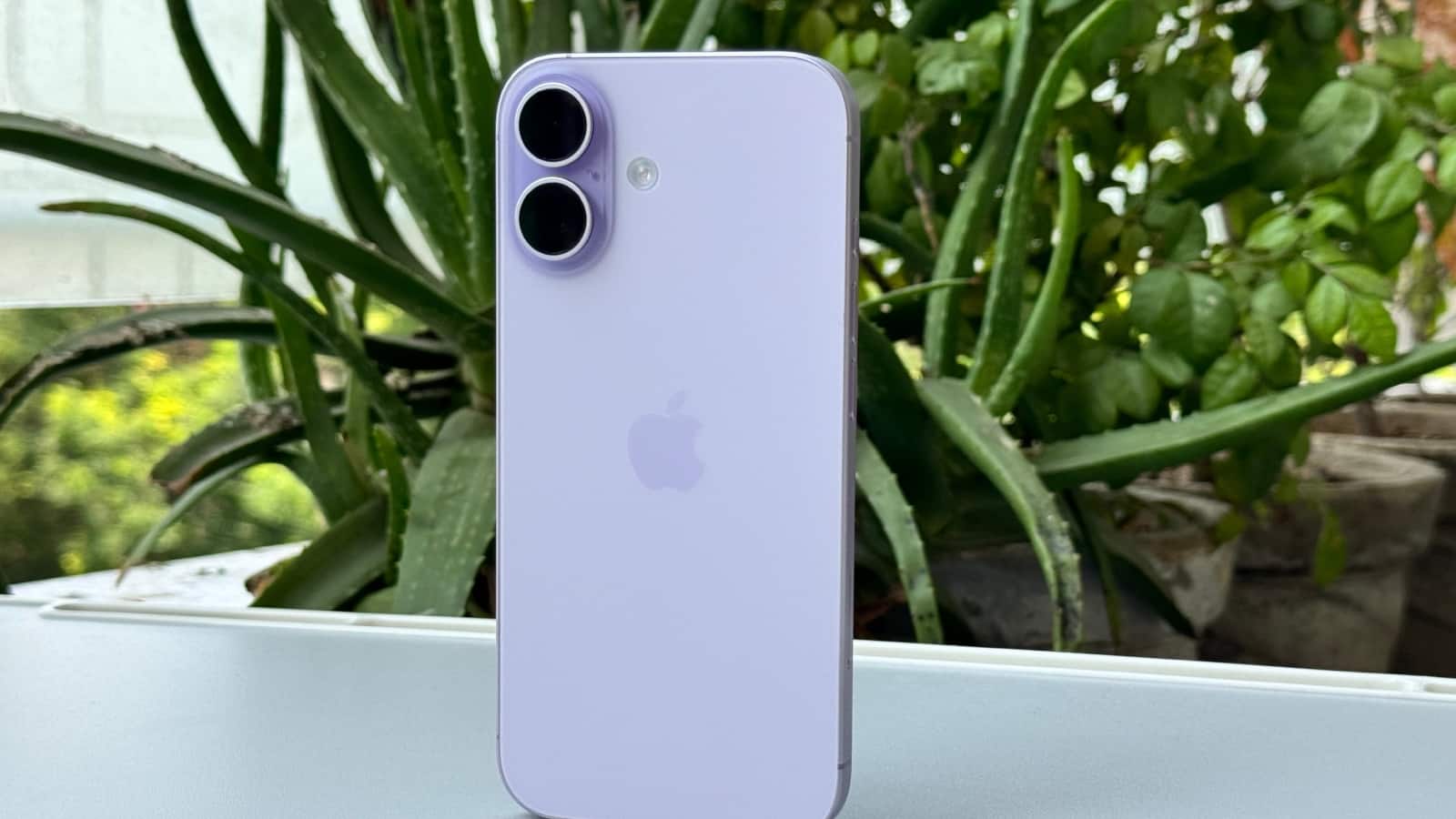 ₹99,900 वाला iPhone 17 अब ₹49,161 में! Flipkart पर ऐसे मिल रही आधी कीमत में डील ₹99,900 वाला iPhone 17 अब ₹49,161 में! Flipkart पर ऐसे मिल रही आधी कीमत में डील