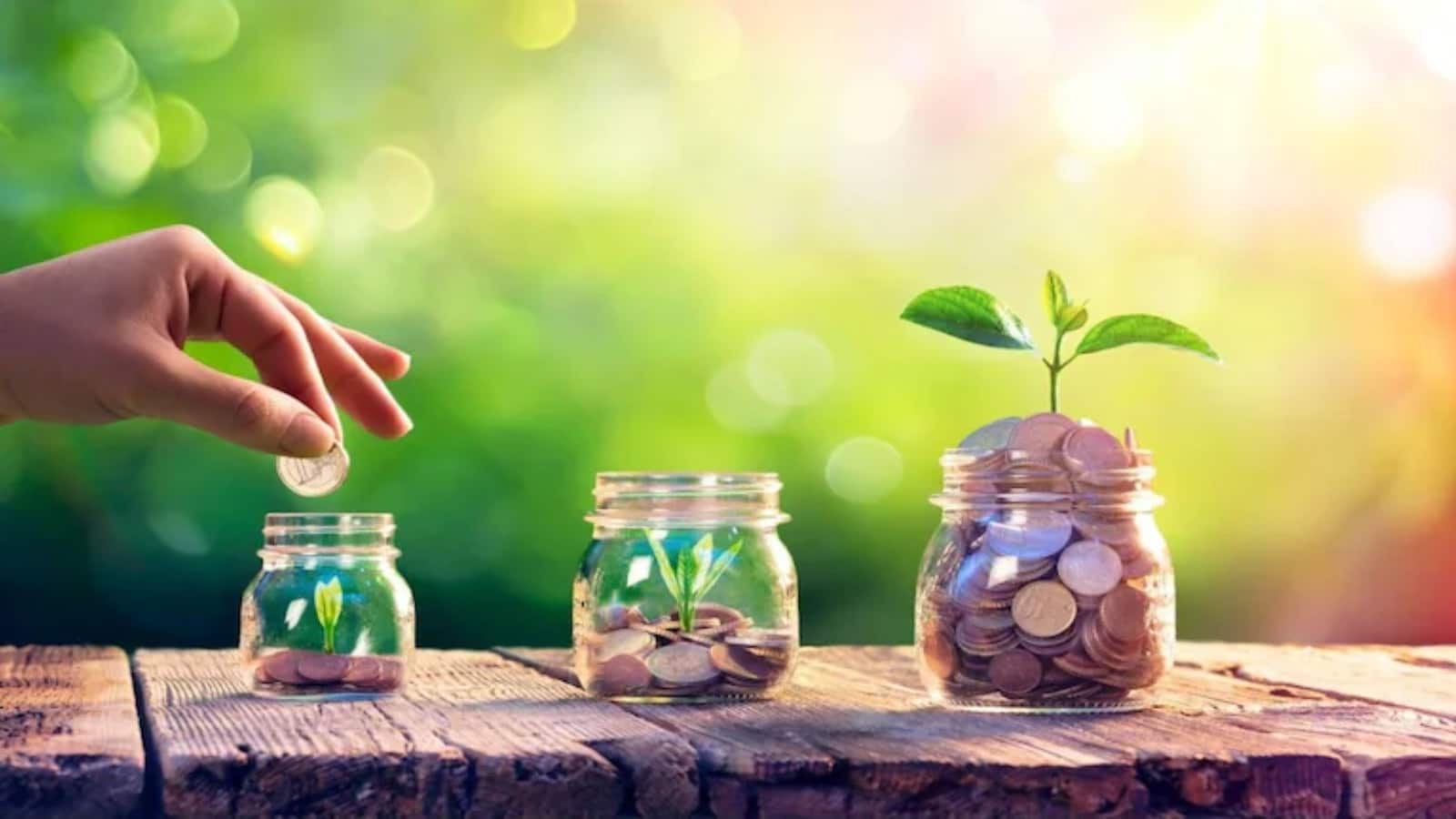 इस म्यूचुअल फंड ने मंथली ₹10000 के SIP को 15 साल में ₹81 लाख बनाया इस म्यूचुअल फंड ने मंथली ₹10000 के SIP को 15 साल में ₹81 लाख बनाया