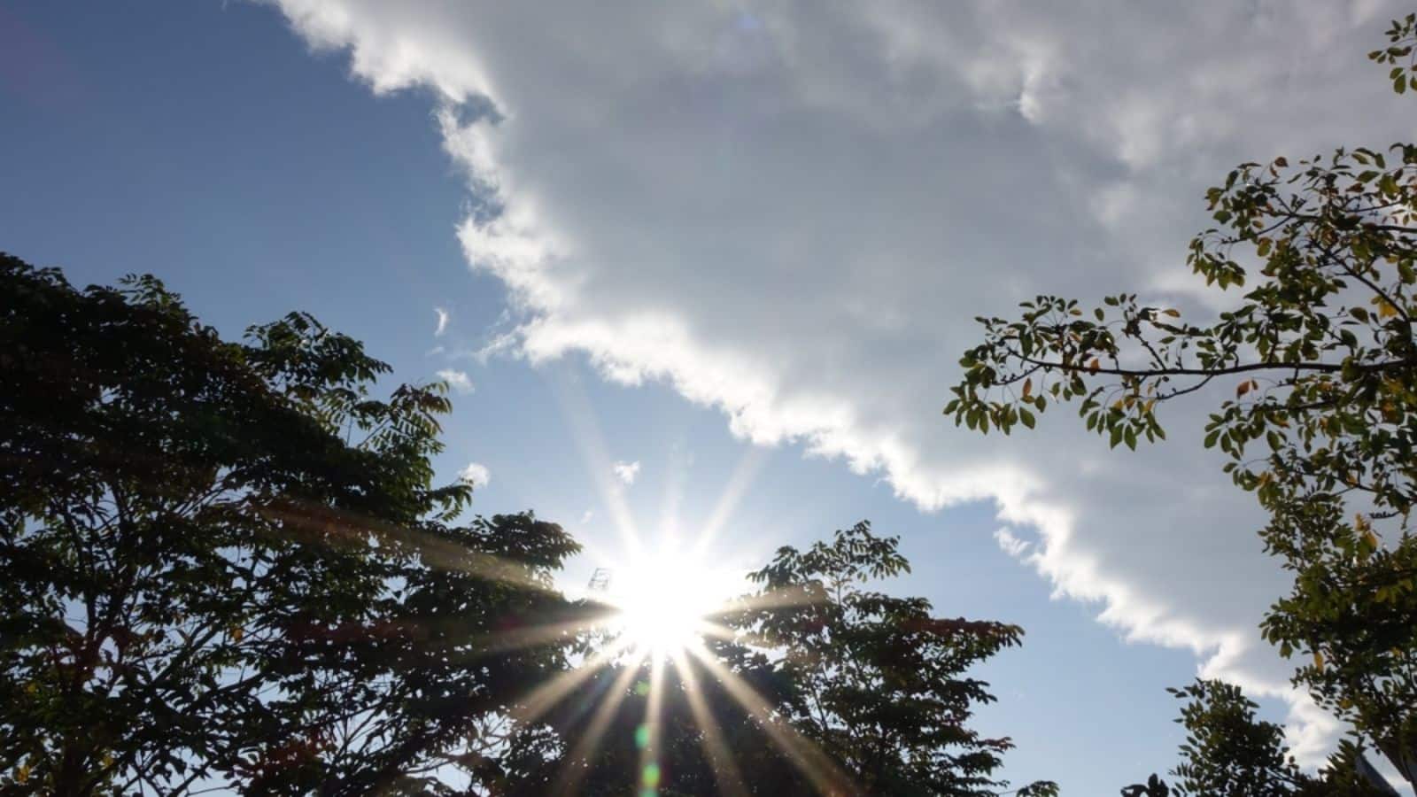 दिल्ली में अब कुछ दिनों तक बारिश नहीं, मिनिमम टेंप्रेचर पहुंचा 23.2°C, जानिए IMD ने मौसम को लेकर क्या बताया दिल्ली में अब कुछ दिनों तक बारिश नहीं, मिनिमम टेंप्रेचर पहुंचा 23.2°C, जानिए IMD ने मौसम को लेकर क्या बताया