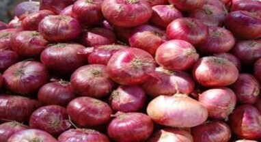 Onion Price: ડુંગળી ટૂંક સમયમાં થશે સસ્તી, ગ્રાહક બાબતોના અધિકારીએ આપ્યું આ મોટું અપડેટ Onion Price: ડુંગળી ટૂંક સમયમાં થશે સસ્તી, ગ્રાહક બાબતોના અધિકારીએ આપ્યું આ મોટું અપડેટ