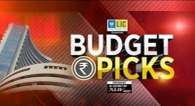 Budget Pick: આ વર્ષનું બજેટ ક્યા સેક્ટરને આપશે બૂસ્ટ?, માર્કેટના નિષ્ણાતોની ટોપ બજેટ પિક્સ