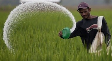 Budget 2023: કૃષિ ક્ષેત્રમાં R&D માટે વધુ ફાળવણીથી વધશે કૃષિ ઉત્પાદકતા, જાણો ડિટેલ્સ
