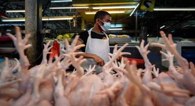 Bird Flu: હવે બર્ડ ફ્લૂનો ખૌફ.. ચિલીમાં નોંધાયો પહેલો કેસ, મનુષ્યોમાં H5N1 એવિયન ઈન્ફલ્યુએન્ઝાનો રેર કેસ
