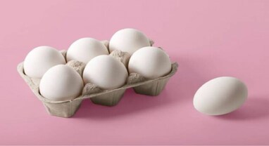 Fake Egg: બજારમાં સરેઆમ વેચાઈ રહ્યા છે પ્લાસ્ટિકના ઈંડા, સ્વાસ્થ્યના દુશ્મનને કેવી રીતે ઓળખશો, જાણો