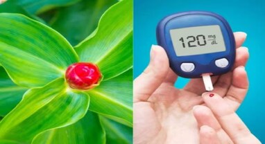 Diabetes: દવાથી બ્લડ સુગર નથી ઘટતું, આ પાંદડાનો રસ પીવો, તરત જ થશે ફાયદો