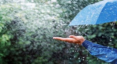 Monsoon Updates: ભારતમાં દક્ષિણ-પશ્ચિમ ચોમાસું સામાન્ય રહેશે, જૂનમાં વરસાદ સામાન્ય કરતાં ઓછો રહેશે, IMDની આગાહી