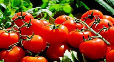 Tomato Price Hike: આ રાજ્યમાં 68 રૂપિયામાં મળે છે એક કિલો ટામેટા, ક્યારે અને ક્યાંથી લેવા જાણો સંપૂર્ણ ડિટેલ્સ Tomato Price Hike: આ રાજ્યમાં 68 રૂપિયામાં મળે છે એક કિલો ટામેટા, ક્યારે અને ક્યાંથી લેવા જાણો સંપૂર્ણ ડિટેલ્સ