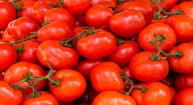 Tomato Price : સામાન્ય માણસને ટૂંક સમયમાં ટામેટાના ભાવમાં મળશે રાહત, નેપાળથી કરાશે આયાત