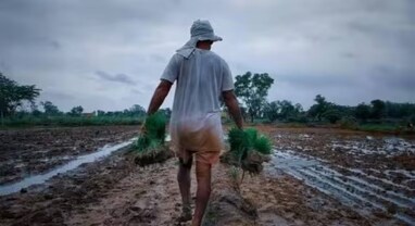 PM Kisan Yojana: ખેડૂતોને આ દિવસે મળશે 14મા હપ્તાના 2000 રૂપિયા, તારીખ અને સ્થળ થયા નક્કી