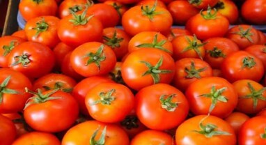 Tomato Prices Hike: મોંઘવારીથી ટામેટા ફરી થયા લાલ, તમિલનાડુમાં 200 રૂપિયા પ્રતિ કિલોને પાર