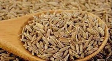 જીરામાંથી ખેડૂતોને મોટો નફો, આવતા વર્ષે વાવણી વિસ્તાર વધશે