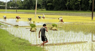Farmer News: ગુજરાત સરકારે ખેડૂતોને મળતી સહાયને લઈને લીધો મોટો નિર્ણય, એક ક્લિકે પર જ ઉપલબ્ધ થશે સુવિધા