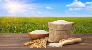 Ban non-basmati rice : ભારત સરકાર નવેમ્બર સુધી ચોખાની નિકાસ પર પ્રતિબંધ રાખી શકે છે યથાવત, El Ninoની અસરને કારણે સરકાર સતર્ક