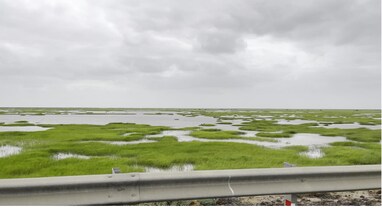 Gujarat Weather: હવે વર્તાઈ રહી છે વરસાદની ખોટ, ઓગસ્ટમાં માત્ર પોણો ઈંચ વરસાદ, હજુ પણ નથી એંધાણ