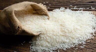 Rice Export: ભારતે નિભાવી મિત્રતાની ભૂમિકા, સિંગાપોરમાં ચોખાની નિકાસ કરવાનો કર્યો નિર્ણય