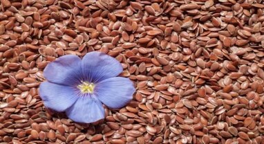 Cancer: અળસી છે કેન્સરના દર્દીઓ માટે રામબાણ, હાર્ટ એટેકનો ખતરો ઘટશે, જાણો તેના ચમત્કારી ફાયદા