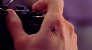 Spider Bite: Spider Man બનવાના ચક્કરમાં 8 વર્ષના છોકરાએ કરોળિયાથી મરાવ્યો ડંખ, હાલત ખરાબ થતા હોસ્પિટલમાં કરાયો દાખલ