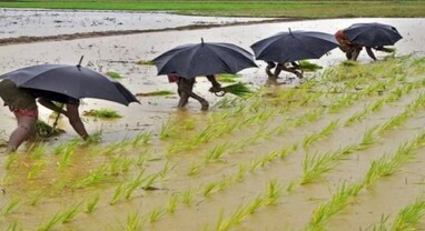 Rainfall Forecast: IMDની ઓગસ્ટમાં વરસાદની આગાહી ખરીફ વાવણી માટે ચિંતાનું કારણ નથી: ક્રિસિલના પુષણ શર્મા