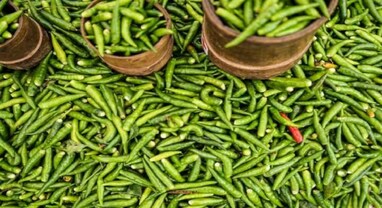 Green chilli: લીલા મરચાને હળવાશથી ન લો, કેન્સર સહિતની અનેક બીમારીઓ દૂર રહેશે Green chilli: લીલા મરચાને હળવાશથી ન લો, કેન્સર સહિતની અનેક બીમારીઓ દૂર રહેશે