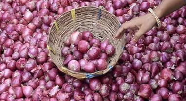 Onion Price: ડુંગળીના વધતા ભાવ પર આ રીતે લાગશે બ્રેક, આજથી દિલ્હીમાં સરકાર 25 રૂપિયા પ્રતિ કિલોના ભાવે વેચશે ડુંગળી