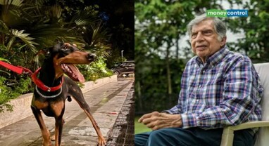 Ratan Tata: રતન ટાટાએ શેર કર્યો ગુમ થયેલા ડોગનો ફોટો, લોકોને તેના માલિકને શોધવાની કરી અપીલ