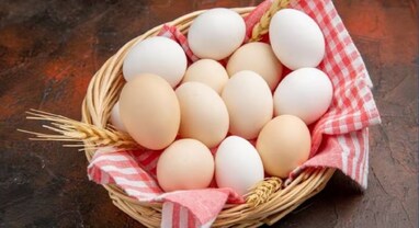 Side Effects of Egg: વૈજ્ઞાનિકોએ કર્યો દાવો - ઈંડાનો આ ભાગ ઝેર છે, લોકોએ ક્યારેય તેનું સેવન ન કરવું જોઈએ