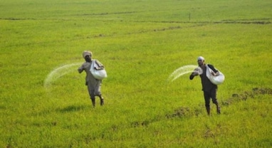 PM-Kisan Scheme: બિહારમાં 81,000 અયોગ્ય ખેડૂતોને હપ્તા પરત કરવા પડશે, પૈસા પાછા લેવાની પ્રોસેસ શરૂ