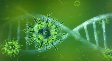 Nipah Virus: કેરળમાં નિપાહ વાયરસથી 2ના મોત, 2 સંક્રમિત, જાણો લક્ષણો અને નિવારણના પગલાં
