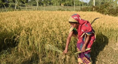 PM Kisan Yojana: 15મા હપ્તામાં બેનિફિશિયરીઓની સંખ્યા ઘટી શકે છે, આ ખેડૂતોને નહીં મળે પૈસા