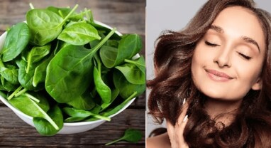 Hair Growth: માત્ર પાલકનું તેલ જ નહીં પણ માસ્ક પણ વાળ માટે ખૂબ જ અસરકારક, વાળ ખરતા અટકાવવા આ રીતે કરો ઉપયોગ