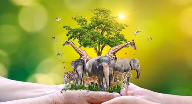 World Animal Day 2023: આજે છે વર્લ્ડ એનિમલ ડે, આ દિવસ કેમ મનાવવામાં આવે છે? જાણો ઈતિહાસ અને મહત્વ World Animal Day 2023: આજે છે વર્લ્ડ એનિમલ ડે, આ દિવસ કેમ મનાવવામાં આવે છે? જાણો ઈતિહાસ અને મહત્વ