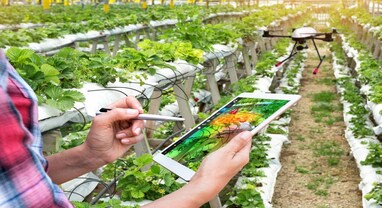 Israel Agriculture: શું ઇઝરાયલની કૃષિ ટેકનોલોજી વિશ્વમાં સૌથી અવ્વલ છે, શું દેશમાં ફળો અને શાકભાજીના પ્રોડક્શનમાં તેનાથી થયો છે વધારો?
