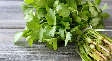 Benefits Of Coriander: કોથમીરના ફાયદા જાણીને તમને લાગશે નવાઈ, ડાયાબિટીસ, પાચન, કિડની, એનિમિયા અને આંખો માટે છે ફાયદાકારક..!