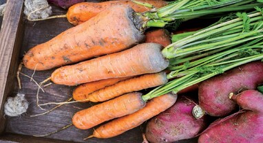 Heavy metals in food: તમારી થાળીમાં ઝેર..., આ શહેરના લોકો ખાય છે કેમિકલ અને ધાતુઓવાળા શાકભાજી, સરકારી એજન્સીની તપાસમાં થયો ખુલાસો Heavy metals in food: તમારી થાળીમાં ઝેર..., આ શહેરના લોકો ખાય છે કેમિકલ અને ધાતુઓવાળા શાકભાજી, સરકારી એજન્સીની તપાસમાં થયો ખુલાસો