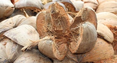 Benefits of coconut peel: નારિયેળની છાલ ખૂબ જ ઉપયોગી છે, તેને કચરામાં ફેંકતા પહેલા જાણી લો નારિયેળની છાલના આ 5 ઉપયોગ
