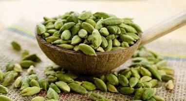 Cardamom Benefits: એલચી, ખાવાનો સ્વાદ તો સુધારે છે પણ સ્વાસ્થ્ય પણ સારું રાખે છે, જાણો તેના ચાર અદ્ભુત ફાયદા