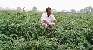 Success Story: એથ્લેટિક્સનો ખેલાડી, નોકરીનો પણ મળ્યો મોકો, બધુ છોડીને ખેતીથી કરી લાખોની કમાણી